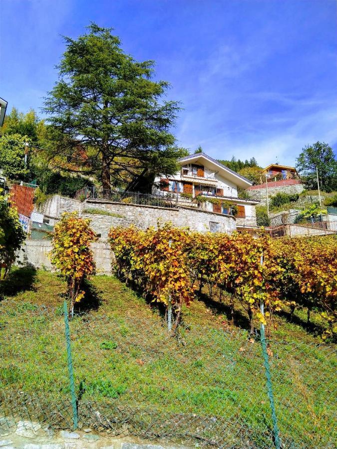 Appartamenti Bioula Cir Aosta N 0247 Exterior photo